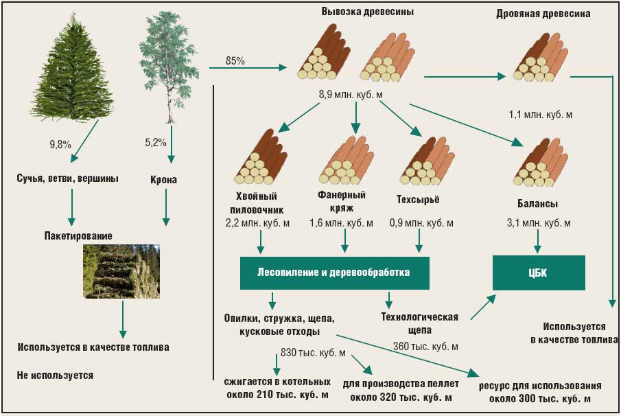 Экологические варианты переработки отходов лесопроизводства. » алеон