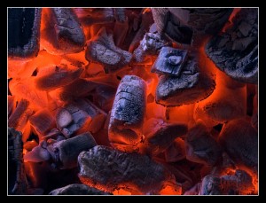Причины определяющее эффективность процесса сжигания древесной биомассы