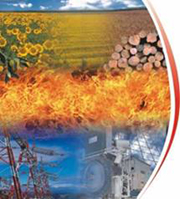 Мтс експо -- котлы на сжигаемой биомассе