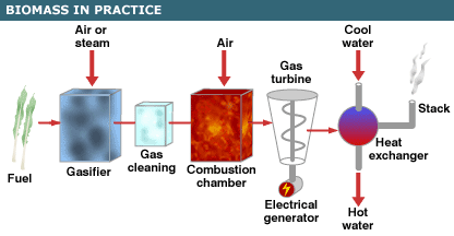 Выработка электроэнергии из биомассы. модульные системы (заключение)
