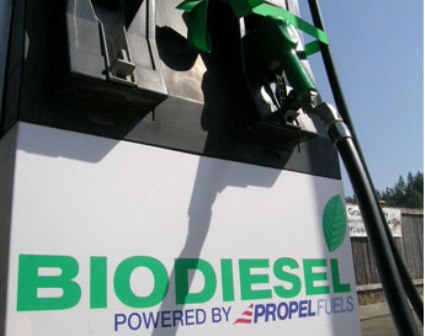 Виды биотоплива для автомобиля